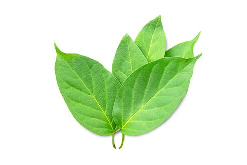 Blutforde Contains Gymnema Gymnema Extract
